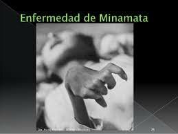 Desastre en la bahía de Minamata por Metilmercurio procedente de efluvios industriales de The Nippon Chisso Company. Japón.