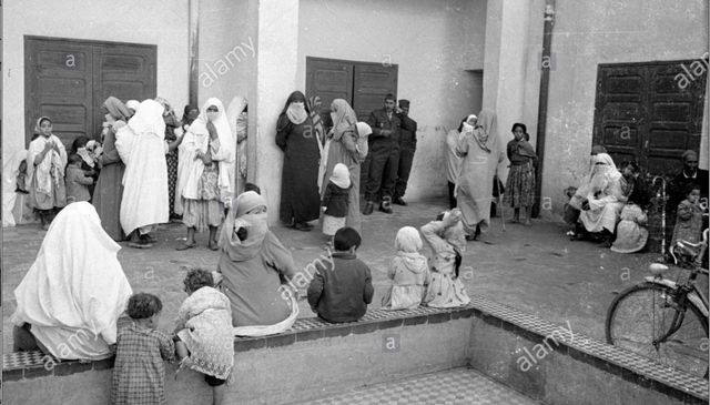 La parálisis del aceite. Marruecos.