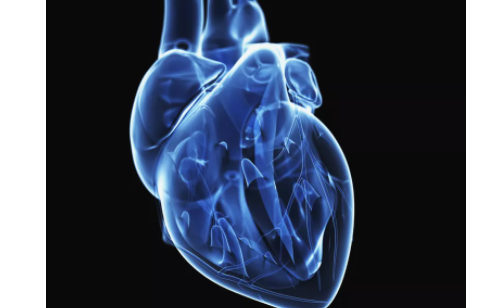 Brote epidémico grave de miocardiopatía degenerativa debido al empleo de sulfato y cloruro de cobalto como estabilizador de espuma de cerveza. Canadá.