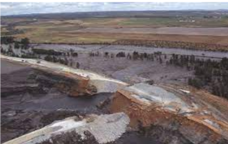 La riada Tóxica acaba el entorno de Doñana. España