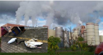 El santuario sin cisnes en Valdivia. Chile.