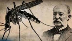 Carlos Finlay observa que la fiebre amarilla es transmitida por mosquitos.