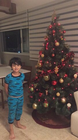 Primeiro Natal na casa nova