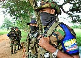 Paramilitarismo