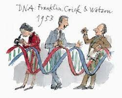 James Watson y  Francis Crick