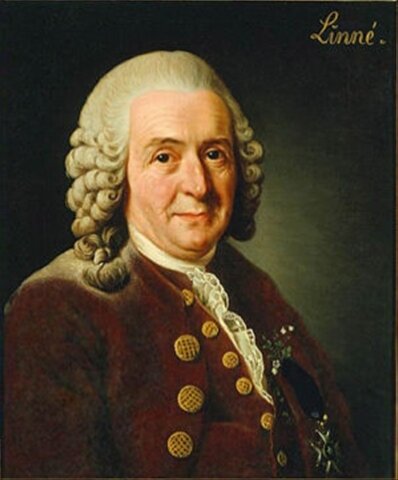 John Graun