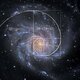 Fibonacci galaxia