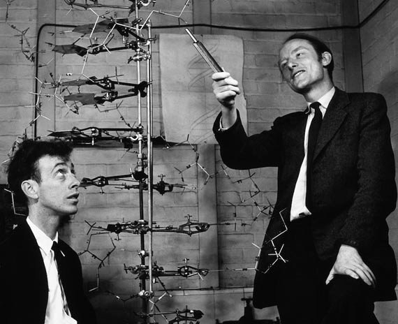 James D. Watson y Francis Crick consiguen dilucidar la estructura en doble hélice del DNA.