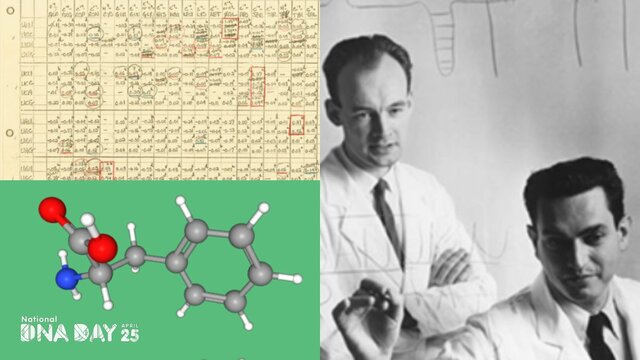 La elucidación del código genético.