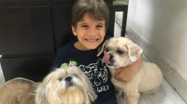Timeline: Linha da vida Dudu Jabur