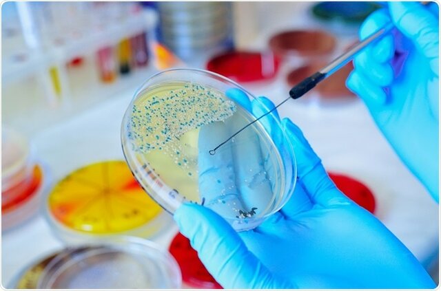 Edad Ecológica - XXI