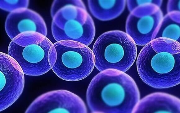 Investigadores del MIT crean células sintéticas para aislar circuitos genéticos