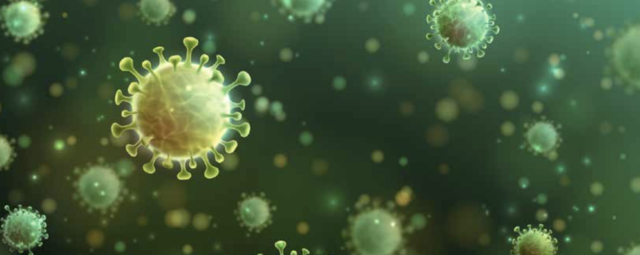 Aparece el virus SARS-CoV-2.