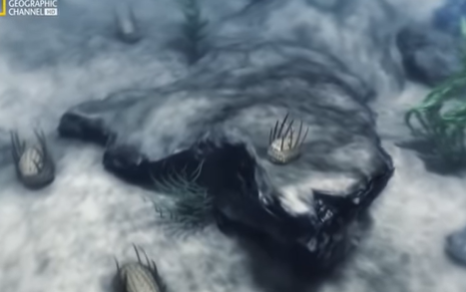 Receta perfecta de la vida