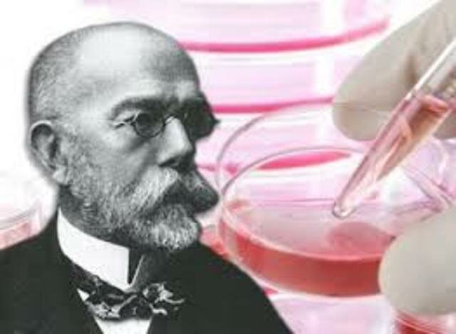 Edad Patogénica - XIX