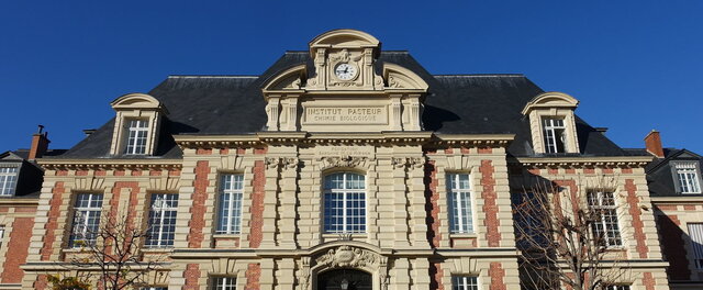 Edad Patogénica - XIX