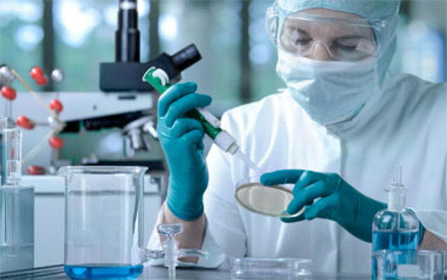 Edad ecológica SIGLOS XX-XXI(Entre finales del siglo XX y comienzos del siglo XXI)(Años aproximados)