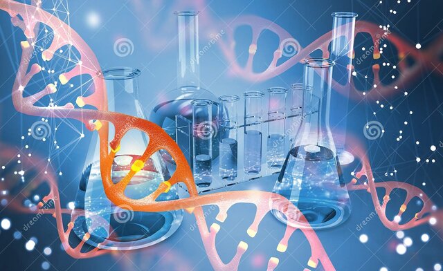 Edad ecológica SIGLOS XX-XXI(Entre finales del siglo XX y comienzos del siglo XXI)(Años aproximados)
