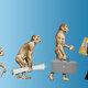 Evolucion