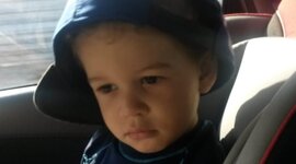 Timeline: Pedro Tameirão Nunes Pinto