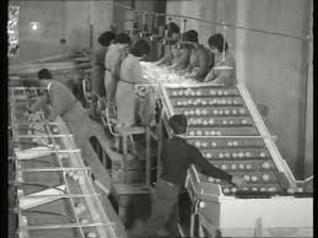 Completa Distribución De La Logística En El Ámbito Empresarial.