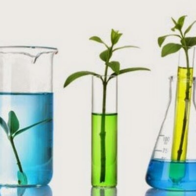 Timeline: HISTORIA DE LA QUIMICA A NIVEL AMBIENTAL