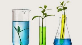 Timeline: HISTORIA DE LA QUIMICA A NIVEL AMBIENTAL