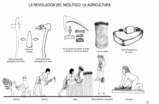 Mesopotamia-Pluralidad evolutiva de la tecnología
