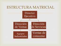 Organización Matricial