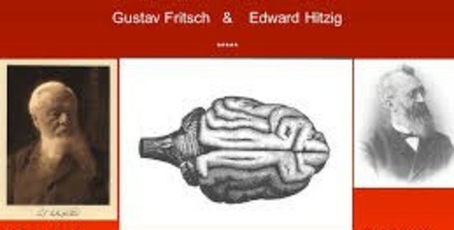 Gustav Fritsch y Edward Hitzig - Electrofisiología