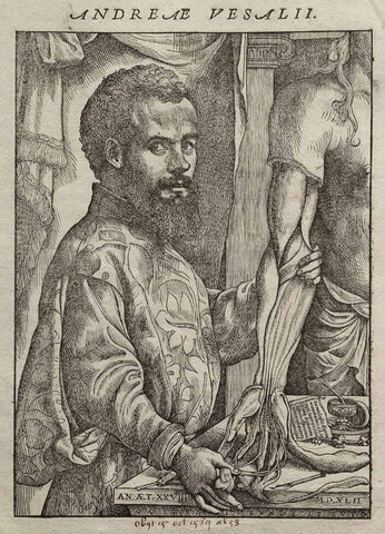 Andreas Vesalius (Médico, anatomista) 1511-1564
