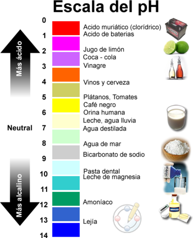 Concepto de pH