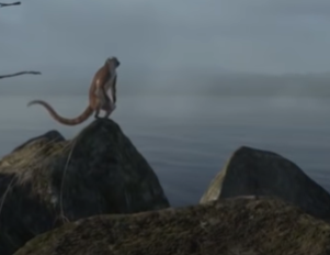 Primeros antepasados