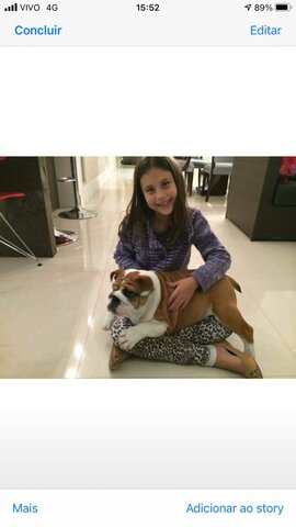 I got my dog, Violeta