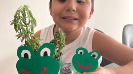 Timeline: Tiago Prado