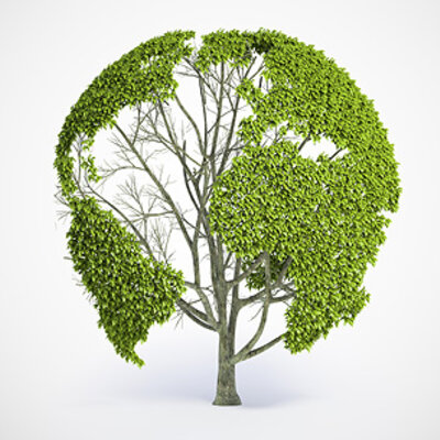 Timeline: Major events in history that have influenced environmental value systems