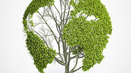 Timeline: Major events in history that have influenced environmental value systems