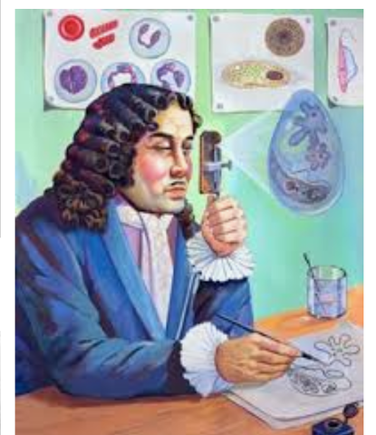 MEJORAS DEL MICROSCOPIO SIMPLE