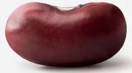 Timeline: Practice timeline