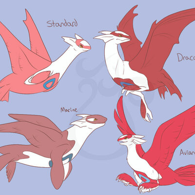 Timeline: Practice timeline