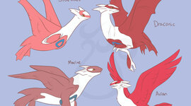 Timeline: Practice timeline