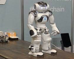 Robot nao