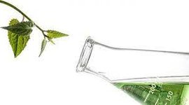 Timeline: Historia de la Química Verde