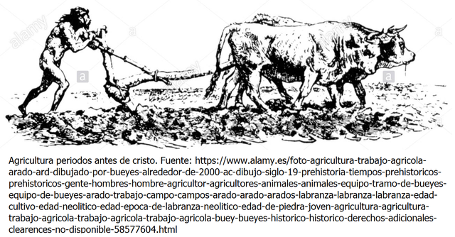 Primeras Enfermedades Infecciosas de Plantas