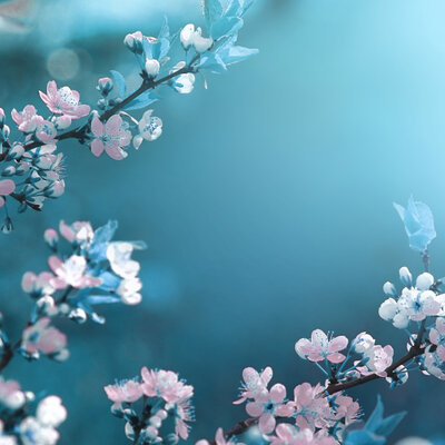 Timeline: US history 2