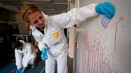 Timeline: Forensic Timeline