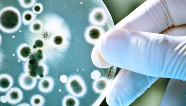 Biotecnología gris