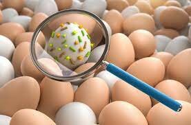 Measures were taken to control salmonella in eggs