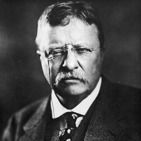 Theodore Roosevelt becomes president