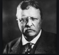 Theodore Roosevelt becomes president